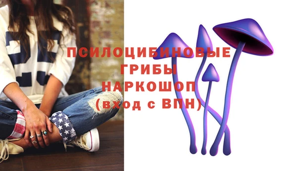 молекула духа Баксан